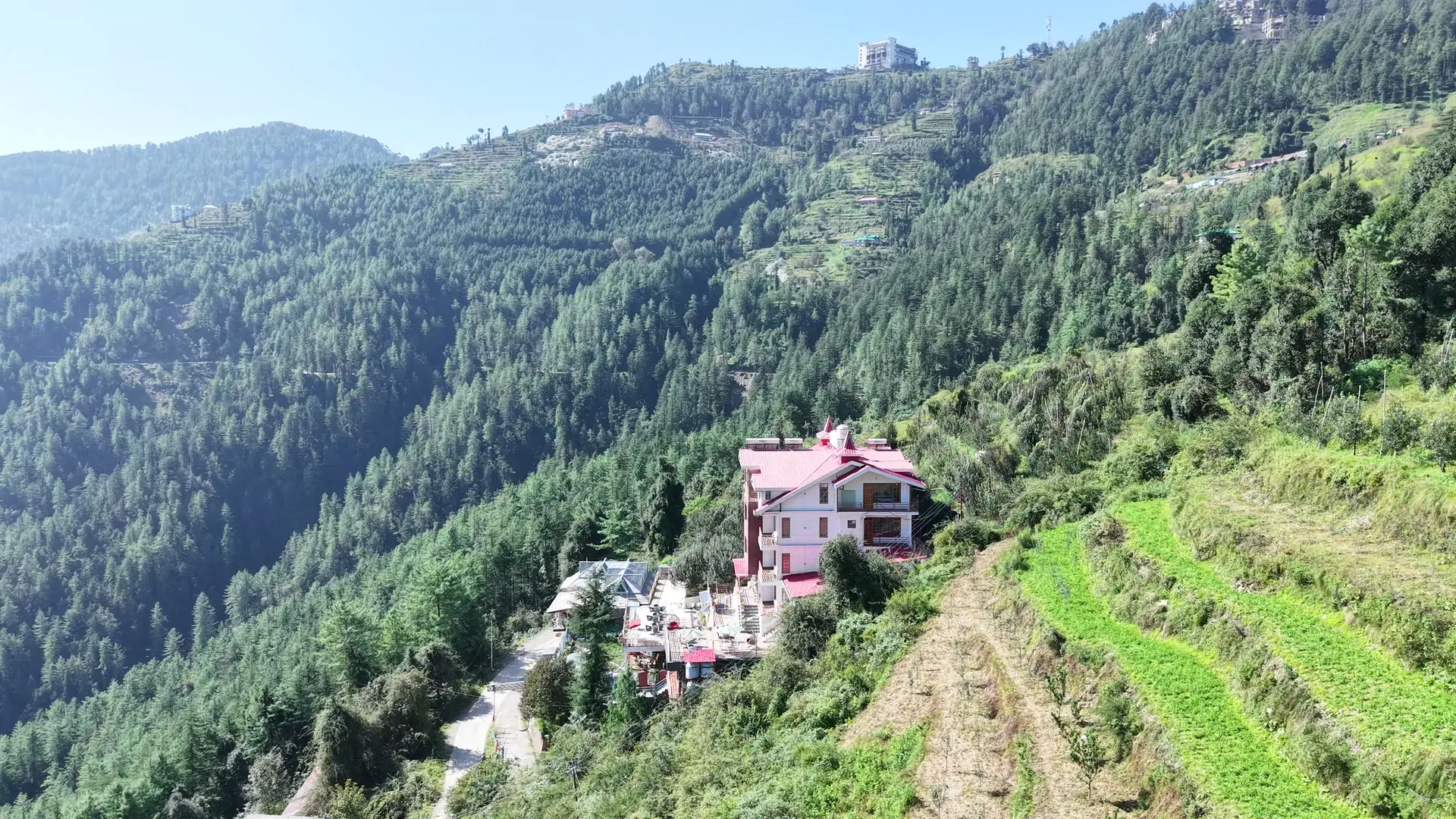 Wood Crista on its ridge, deodar forest to one side and terraced orchards to the other